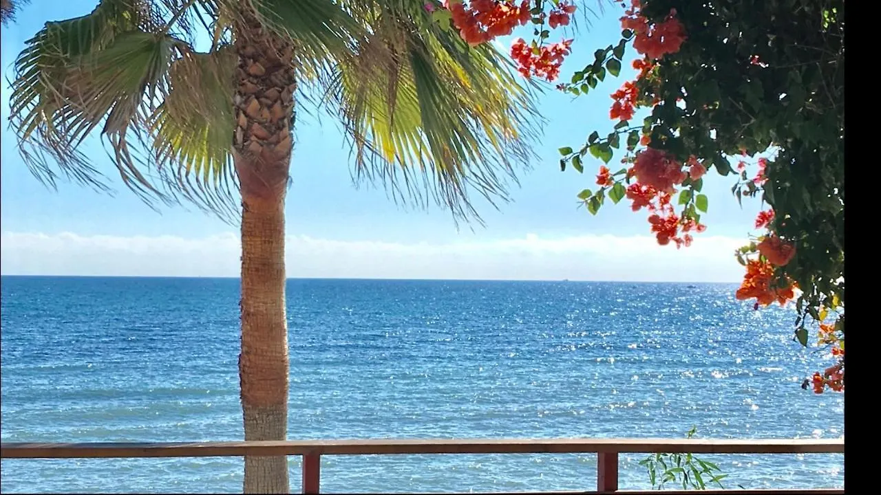 Mi Capricho 3-6 Beachfront- Apartment With Sea Views In Costa Del Sol La Cala De Mijas